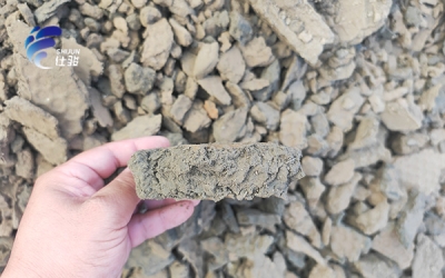 污泥調理藥劑如何降低板框壓濾機壓泥的運營成本呢-青島仕駿