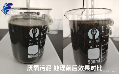 SJC-08型號的污泥增效劑成功"解鎖"厭氧污泥脫水難的問題-青島仕駿