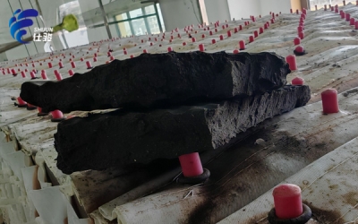 污泥增效劑在醫(yī)藥污泥深度脫水領(lǐng)域的出色表現(xiàn)-青島仕駿