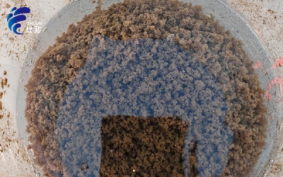 污泥增效劑:顯著降低污泥含水率的&ldquo;秘密武器&rdquo;-青島仕駿