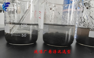 洗煤廠懸浮泥處理:污泥增效劑選型指南-青島仕駿